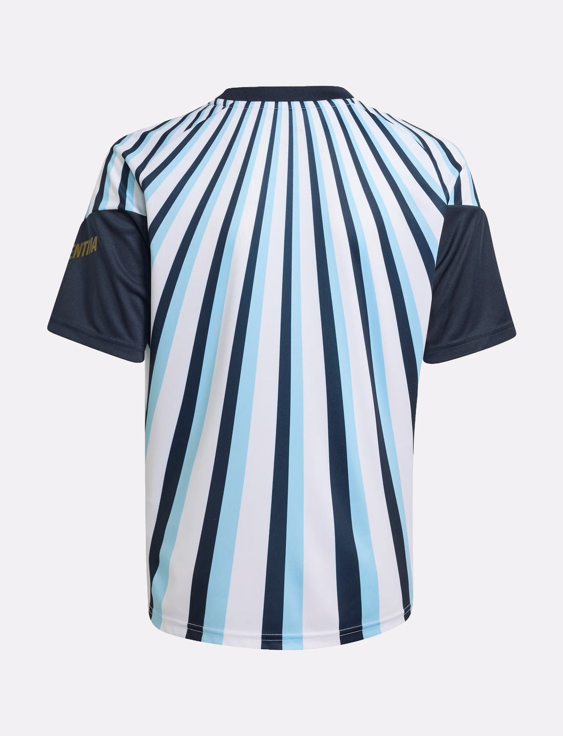 2026/27 Argentina Pre-Match Shirt